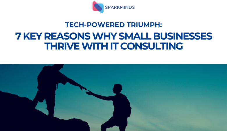 Tech-Powered Triumph: 7 Key Reasons Why Small Businesses Thrive with IT Consulting